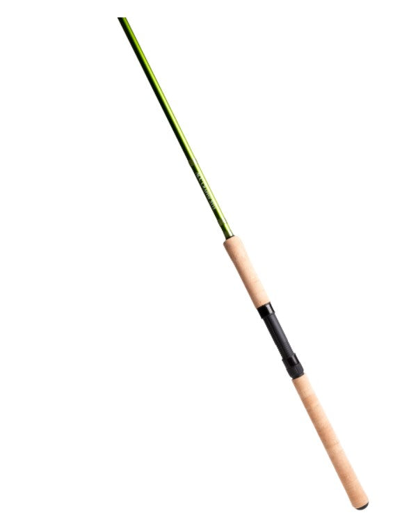 ACC GS10R