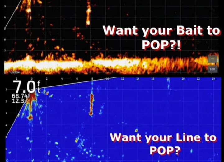 THE ORIGINAL FISH FORMULA BAIT POP LIVE SONAR INTENSIFER