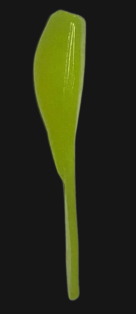 PALMER'S CUSTOM BAITS