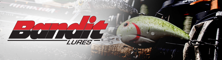 Bandit 300 Series Crankbait