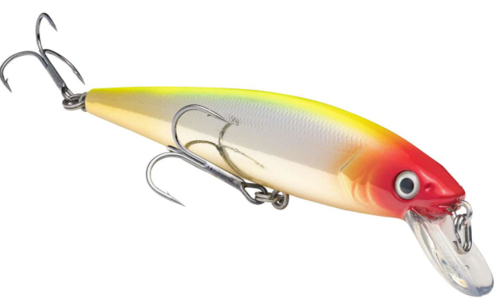 Strike King KVD Jerkbt 4.5''