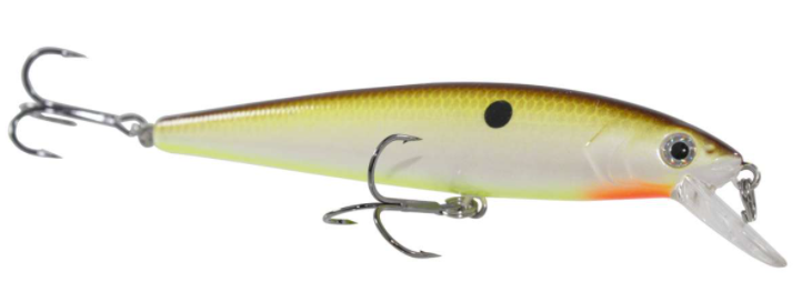 Strike King KVD Jerkbt 4.5''