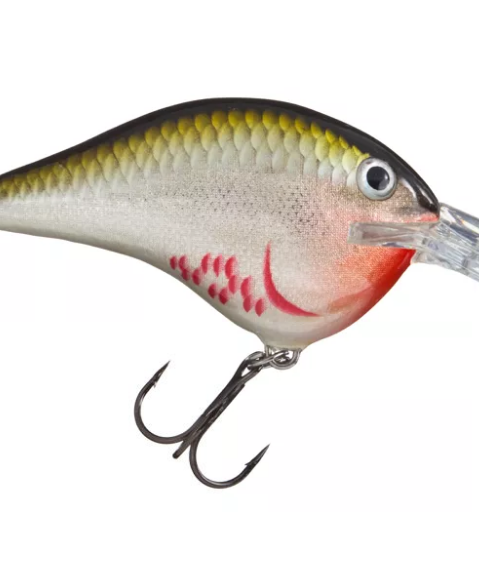 Rapala DT (Dives-To) Series Crankbait