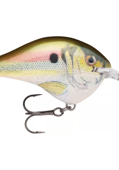 Rapala DT (Dives-To) Series Crankbait